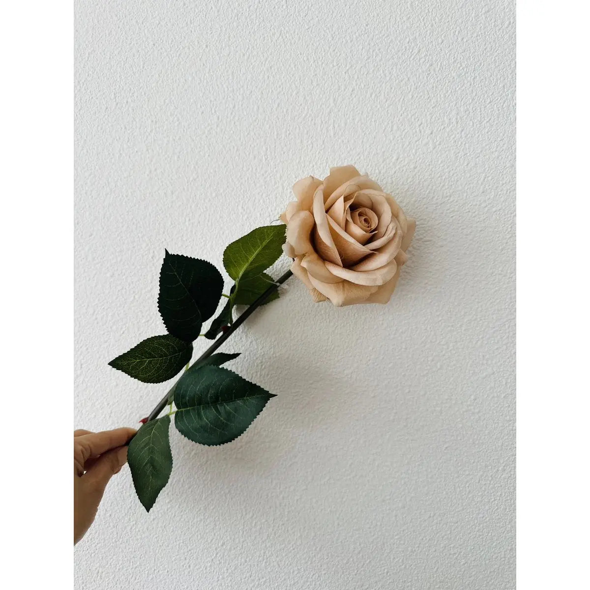 Hand Touch Rose72cm Champagne 2STUKS