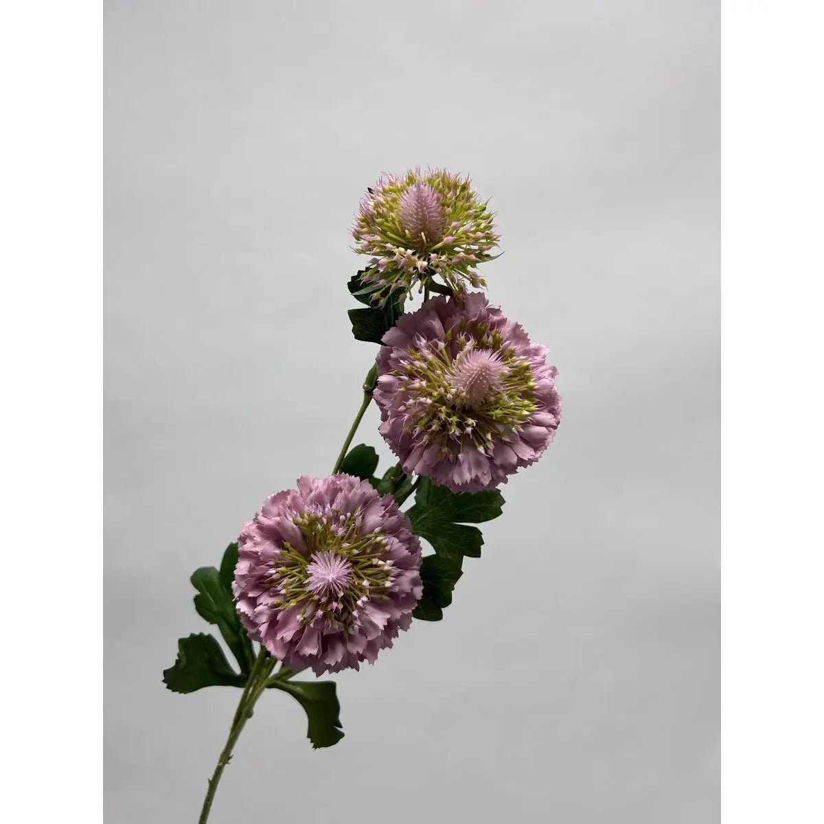 Scabiosa | Zijden kunstbloem | Lengte 80cm2pus paars