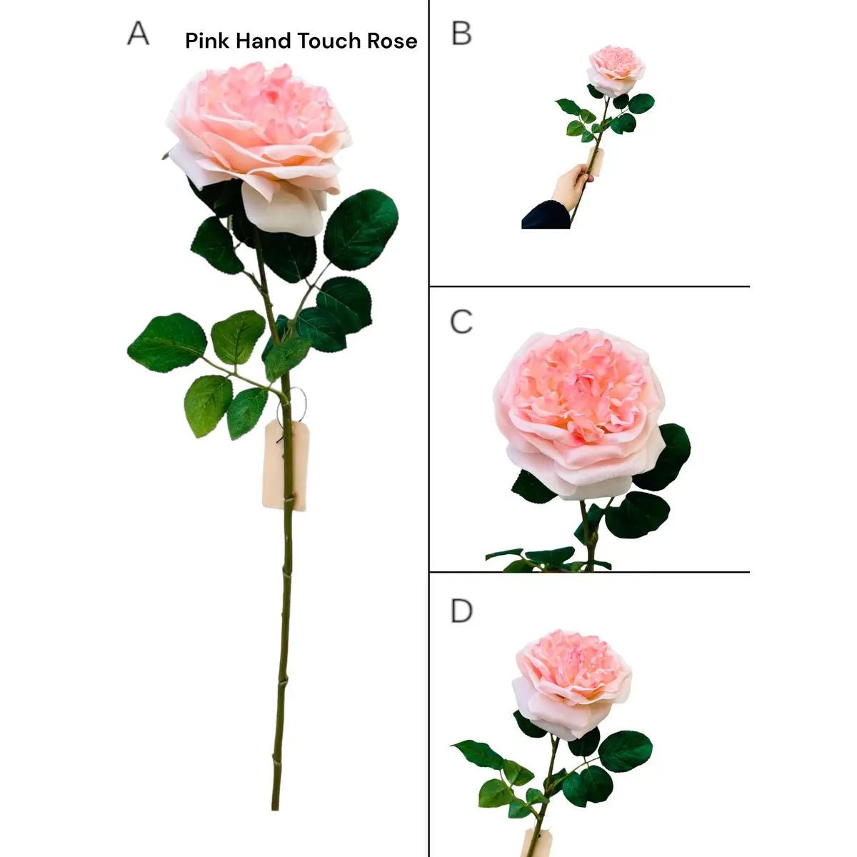 Hand Touch Roos 65cm