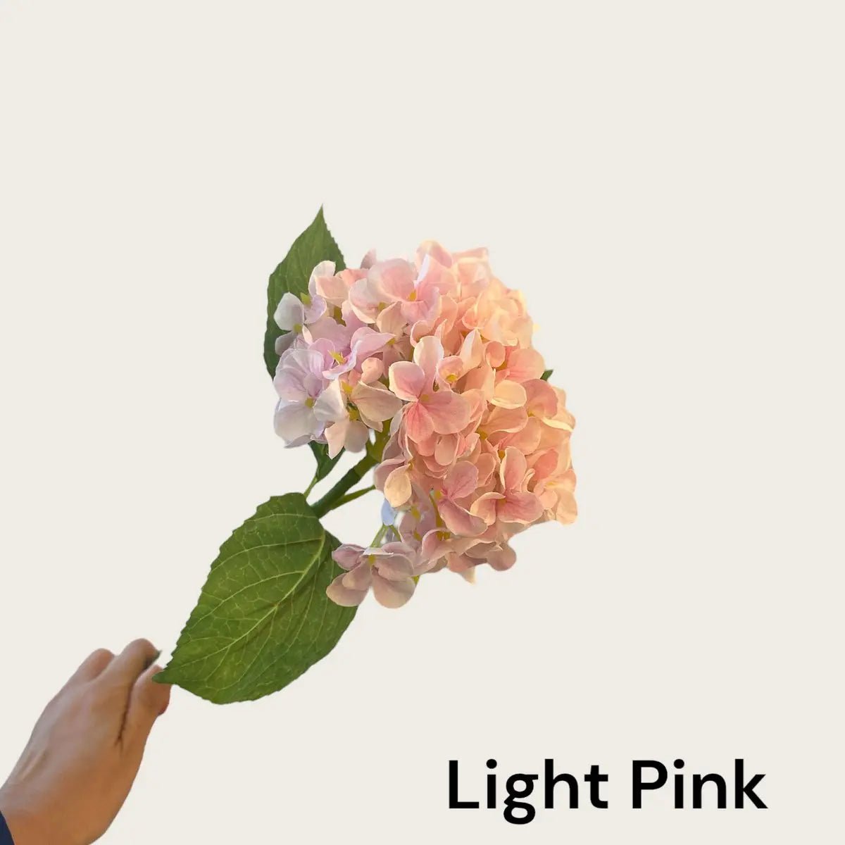 Kortstengelige frisse hortensia | Zijden kunstbloem | Lengte 47cm 1stk
