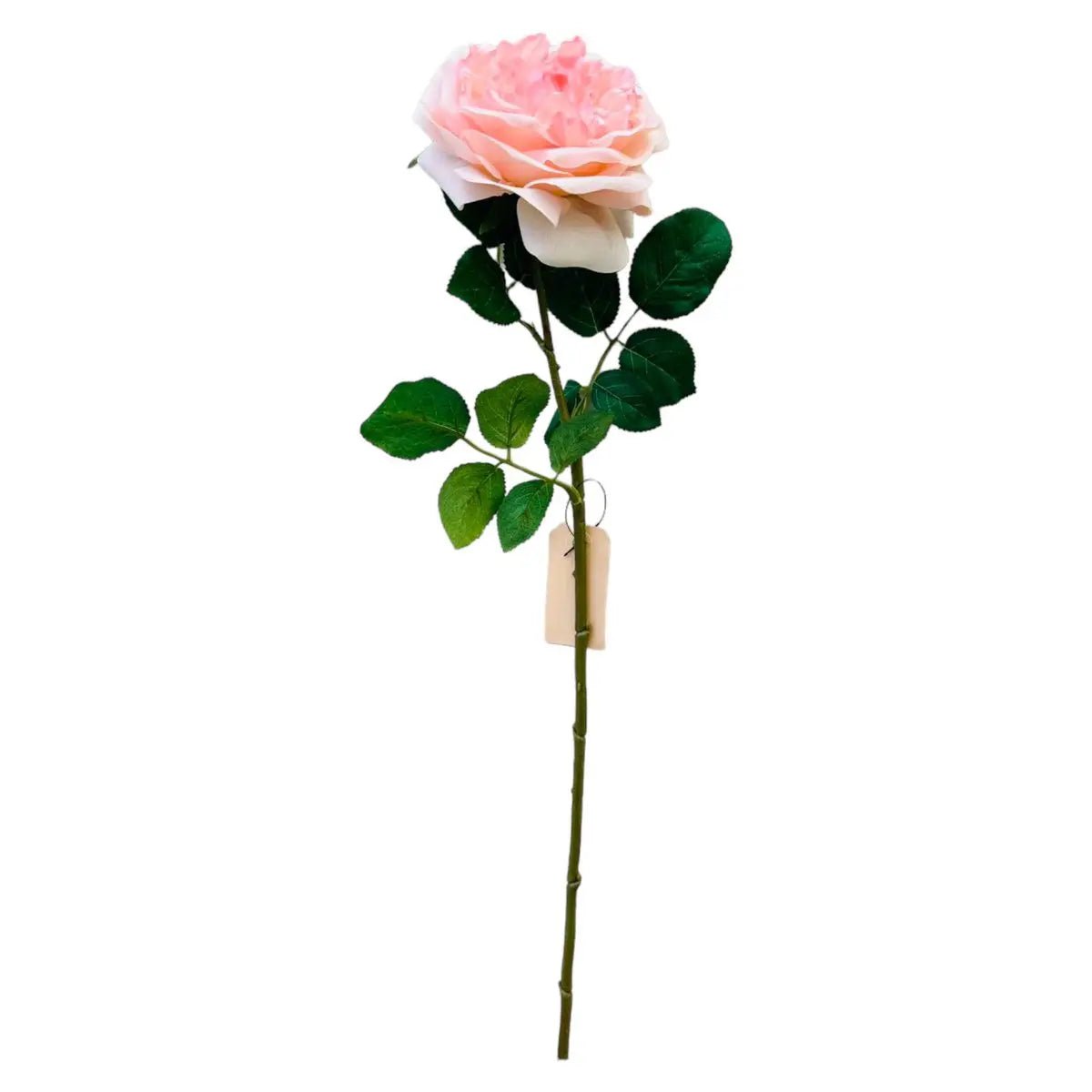 Hand Touch Roos 65cm