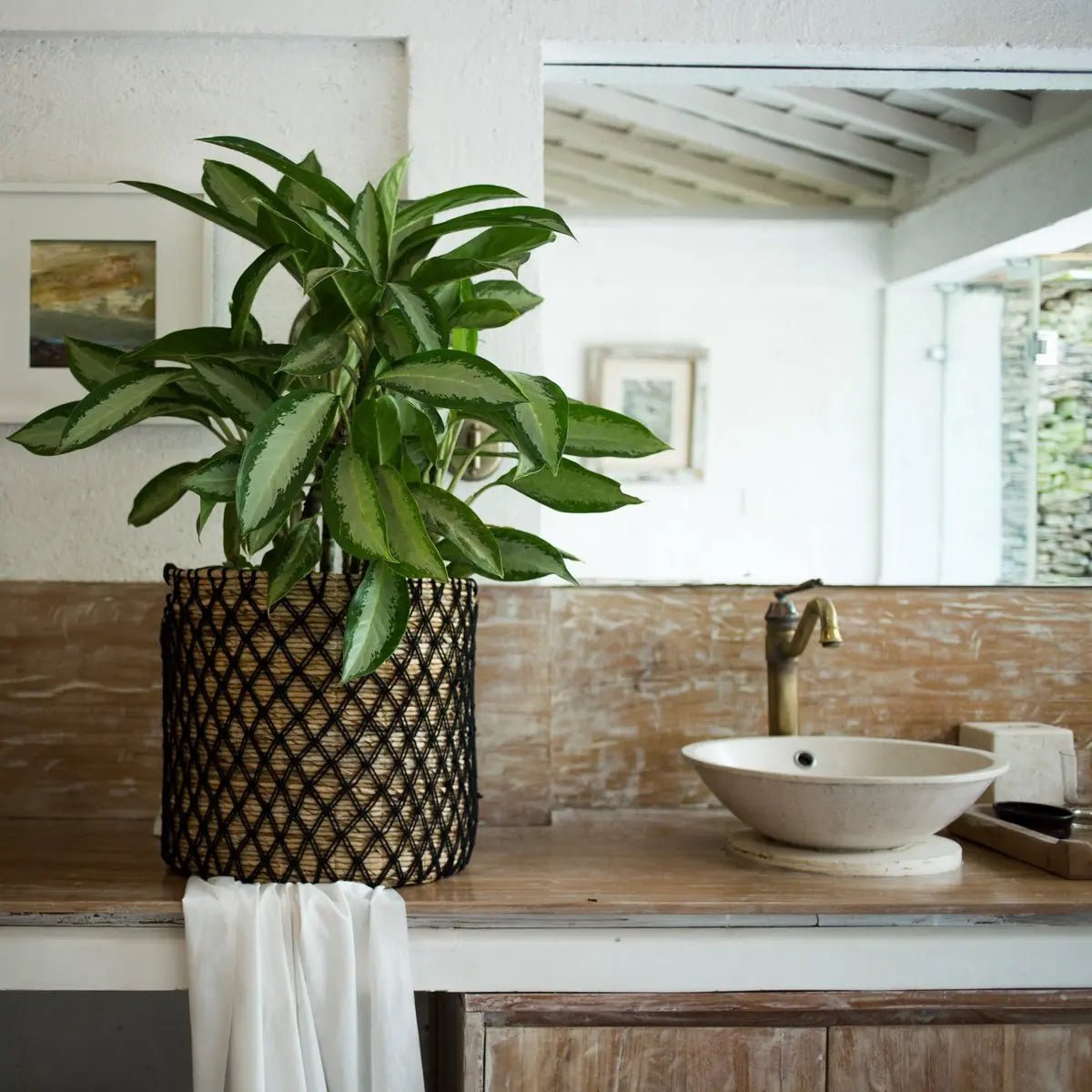 Zwarte Mand PURA – Boho Wasmand & Plantenmand van Bananenvezel, Rond, 3 Maten