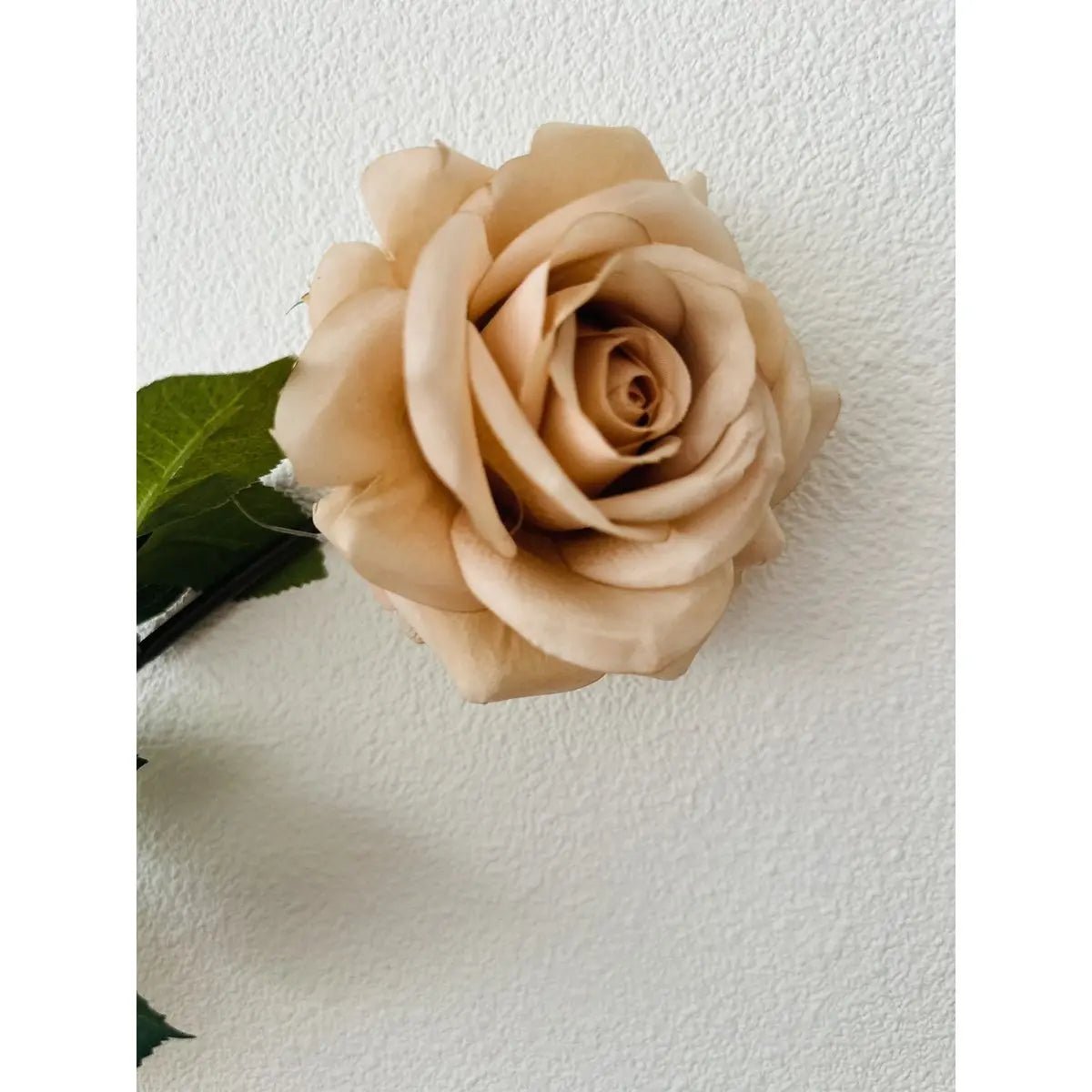 Hand Touch Rose72cm Champagne 2STUKS