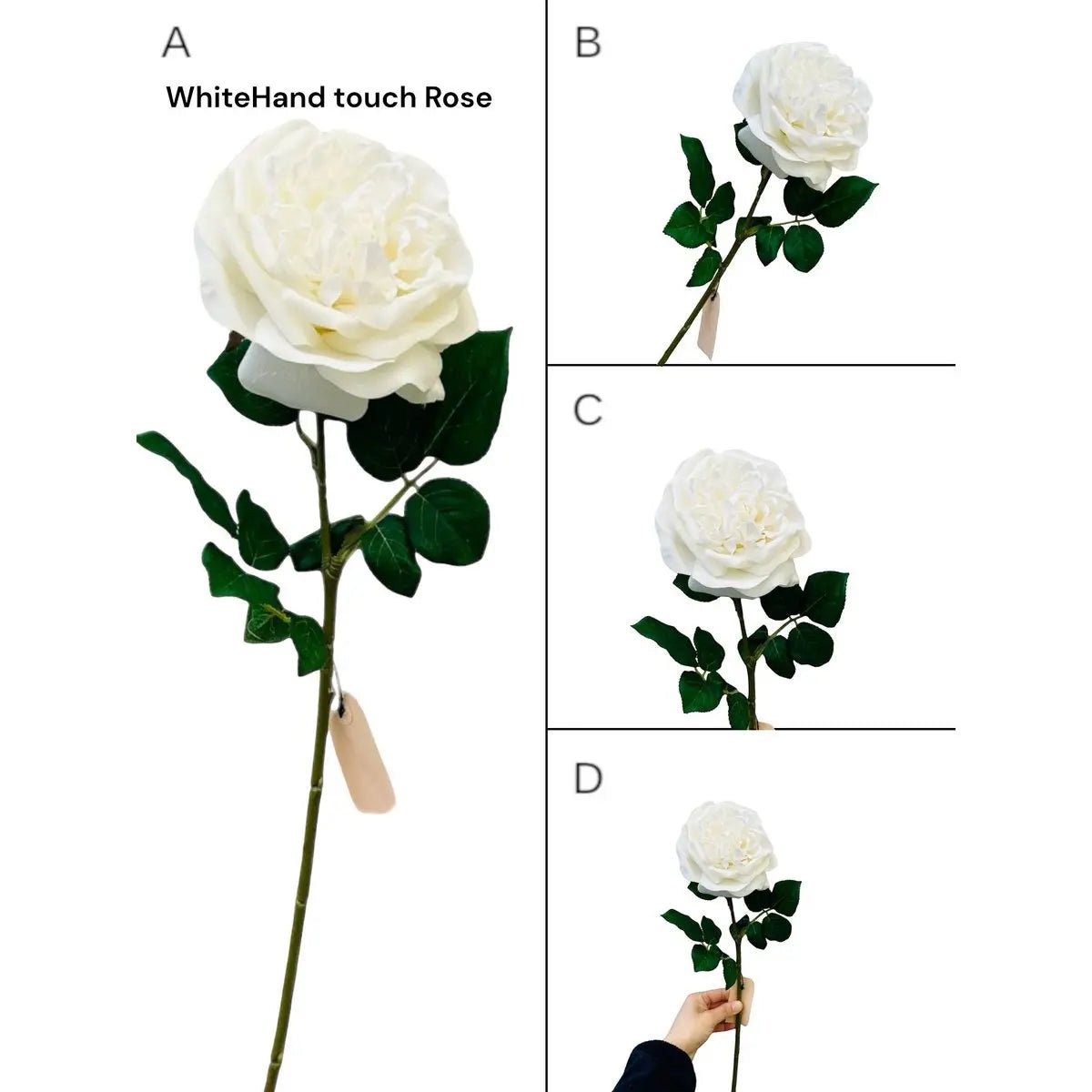 Hand Touch Roos 65cm