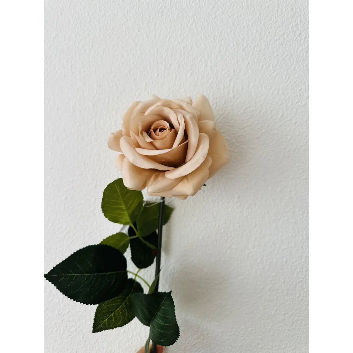 Hand Touch Rose72cm Champagne 2STUKS