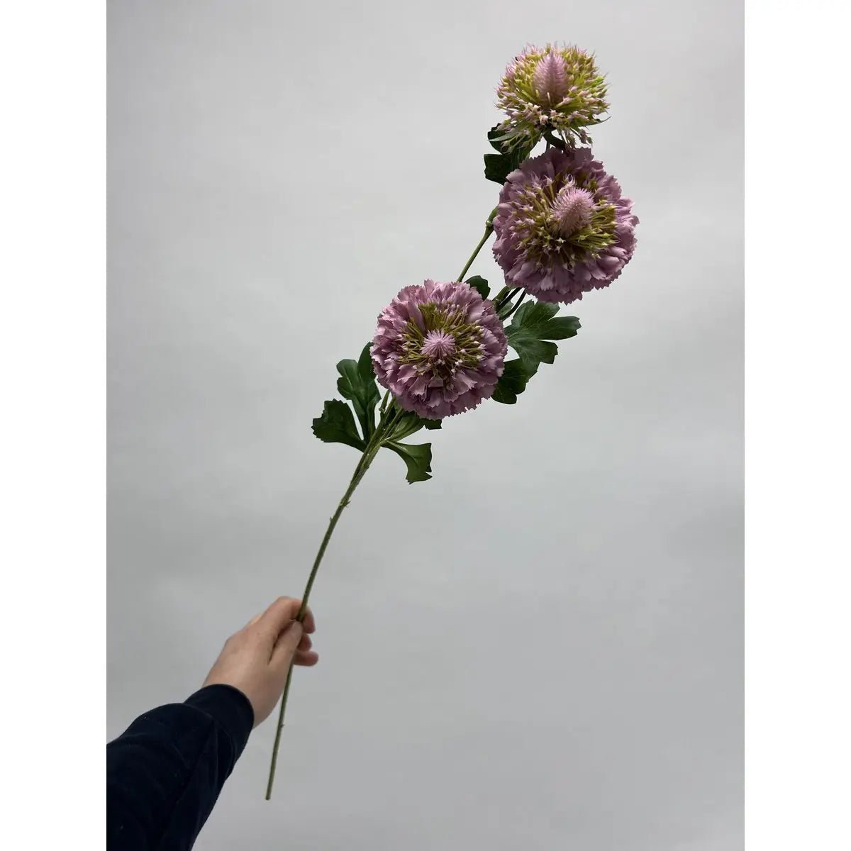 Scabiosa | Zijden kunstbloem | Lengte 80cm2pus paars