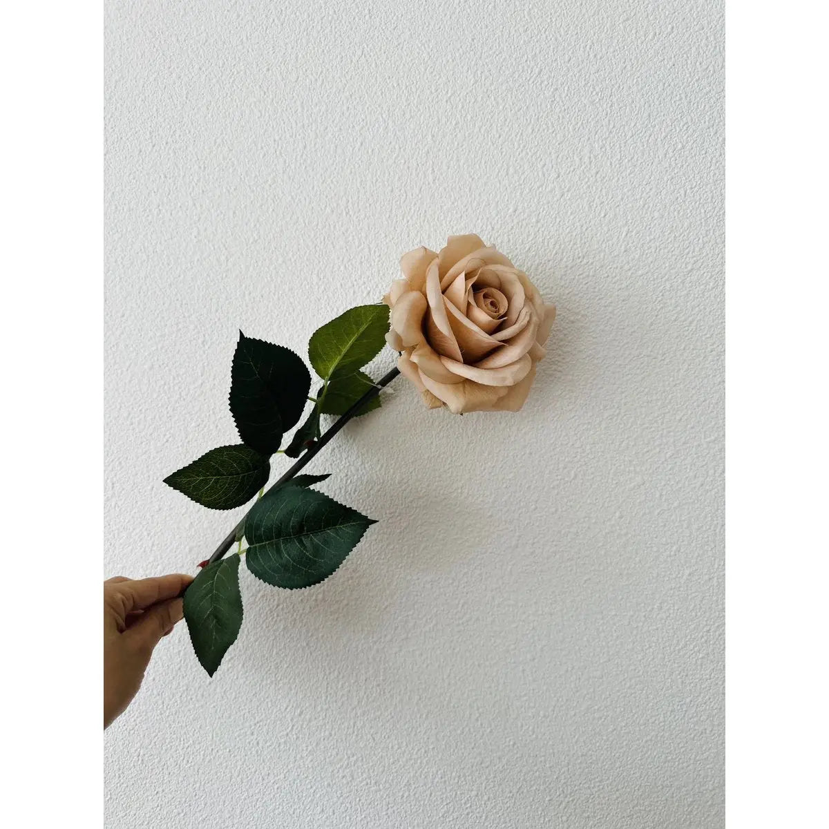 Hand Touch Rose72cm Champagne 2STUKS