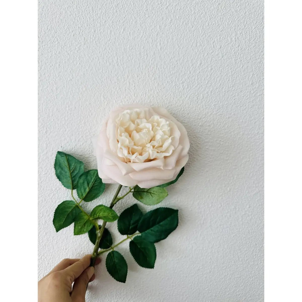 Touch Rose 65cm Light pink 2STUKS