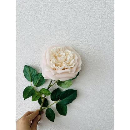 Touch Rose 65cm Light pink 2STUKS
