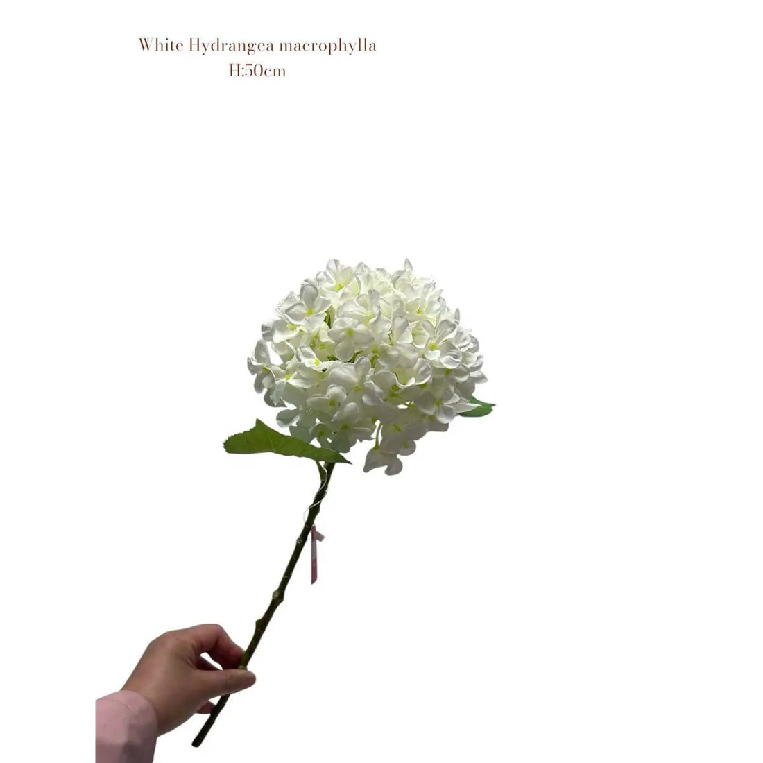 Artificial flowers Hydrangea Macrophylla White | Zijden kunstbloem | Lengte 50 1stk