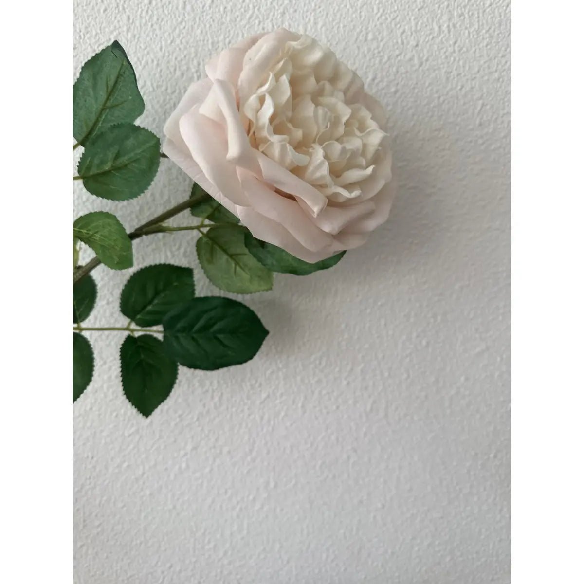 Touch Rose 65cm Light pink 2STUKS