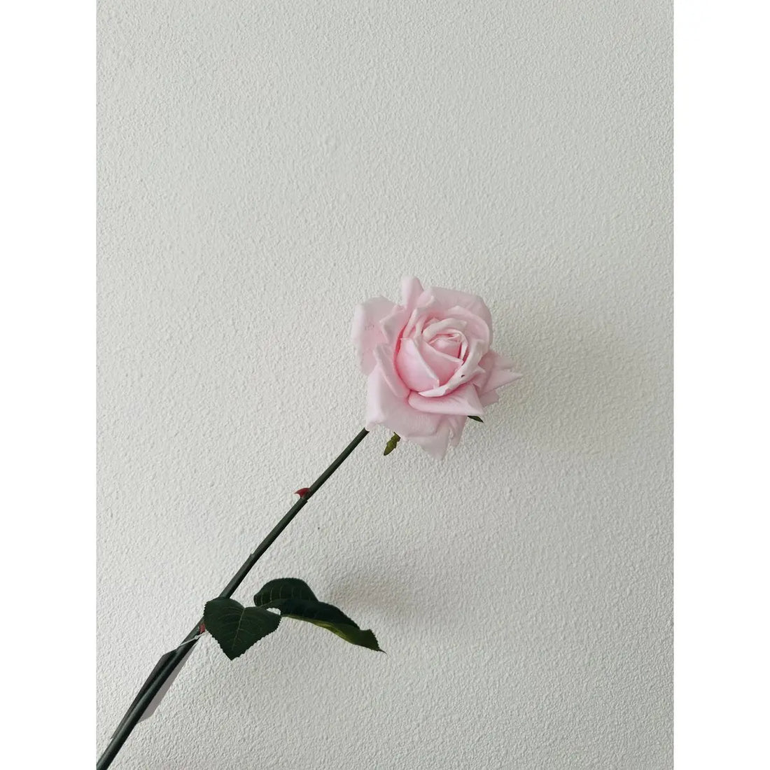 Hand Touch Rose 72cm Light pink 2STUKS