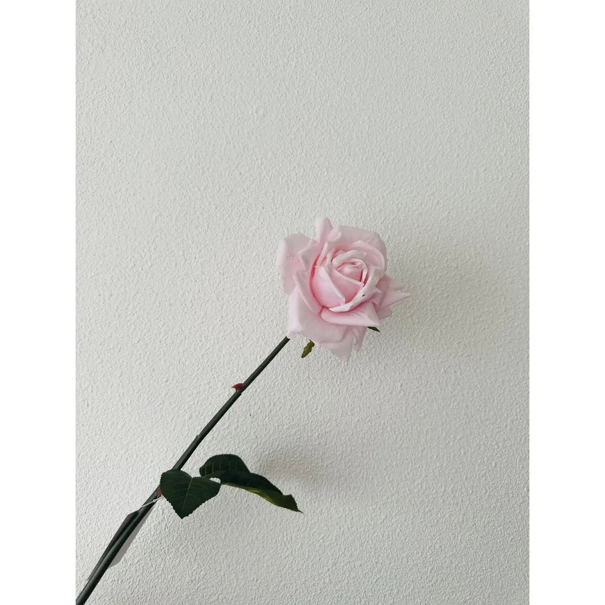 Hand Touch Rose 72cm Light pink 2STUKS
