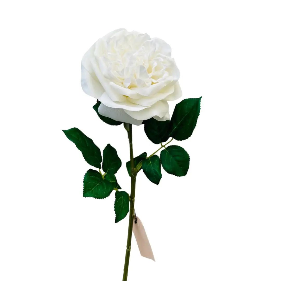 Hand Touch Rose 65cm WIT 2STUKS