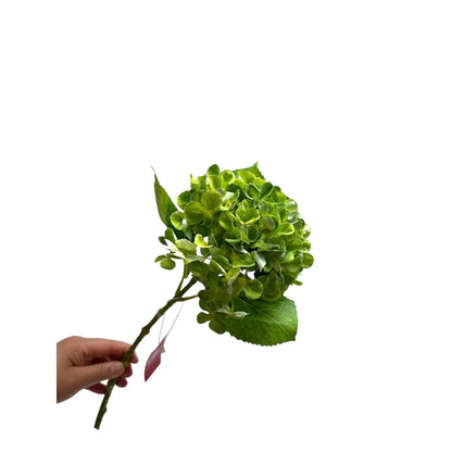 Artificial flowers Hydrangea Macrophylla Green | Zijden kunstbloem | Lengte 50 1stk