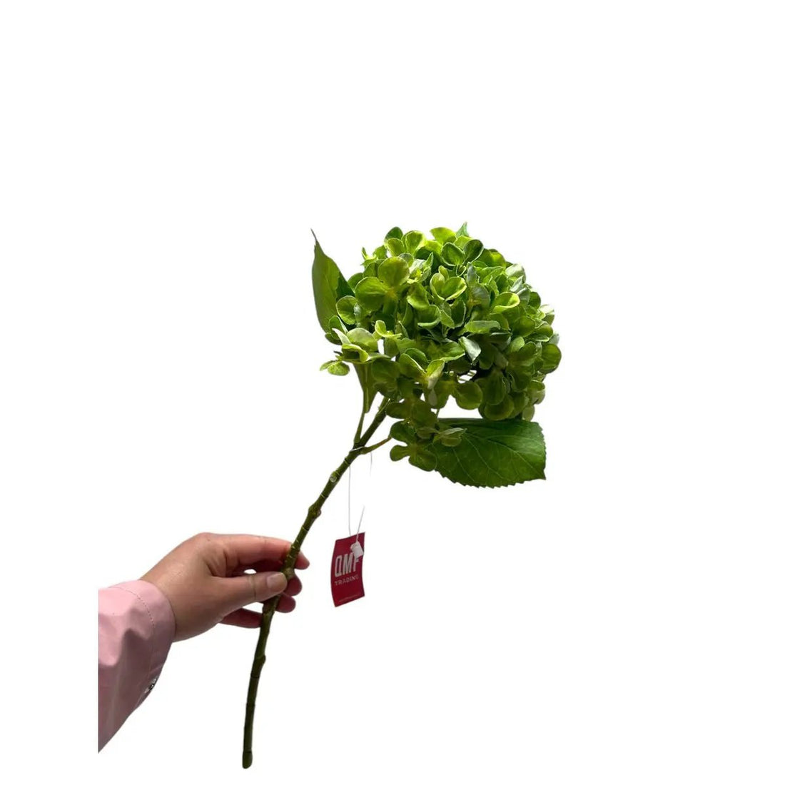 Artificial flowers Hydrangea Macrophylla Green | Zijden kunstbloem | Lengte 50 1stk