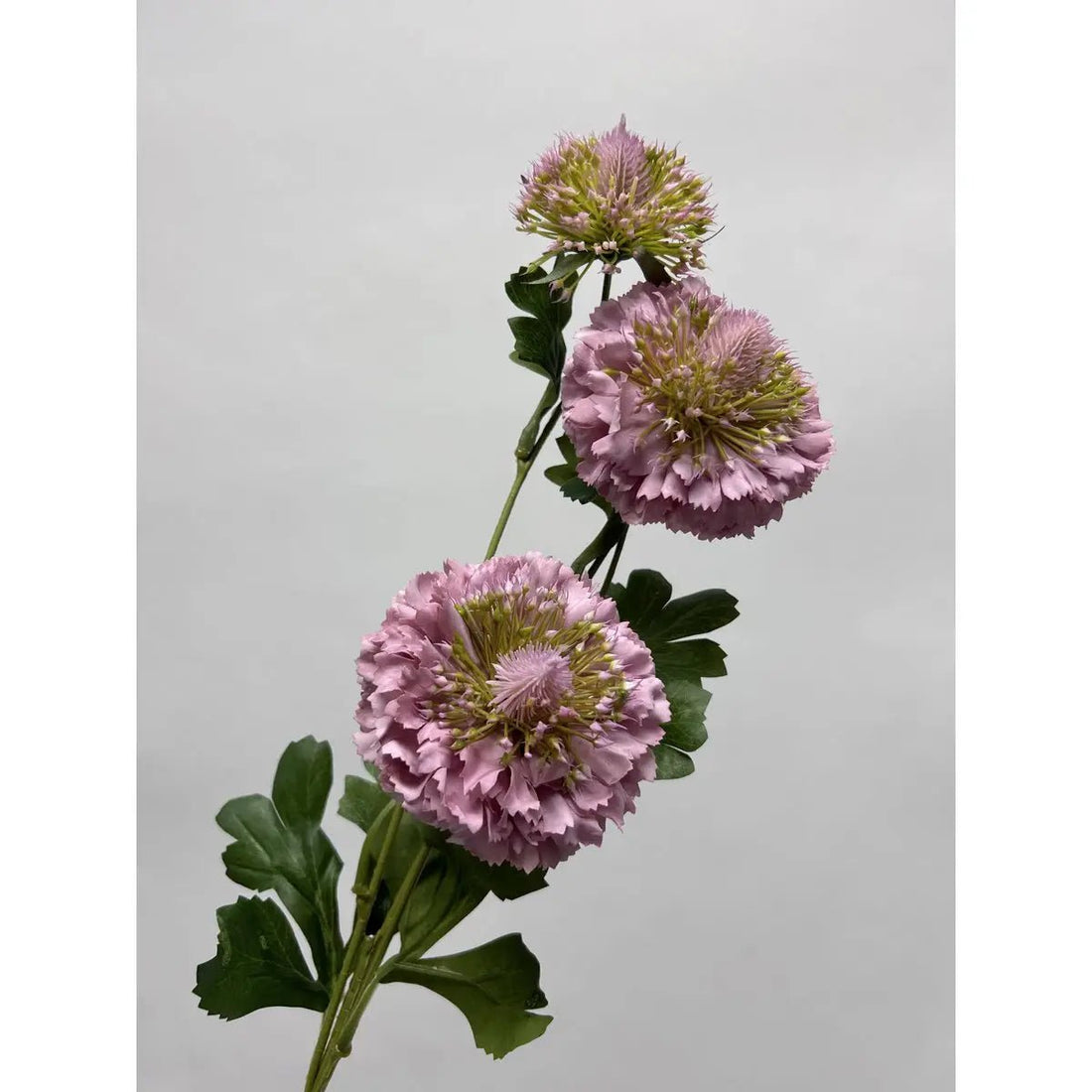 Scabiosa | Zijden kunstbloem | Lengte 80cm  2STUKS wit