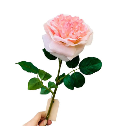 Hand Touch Roos 65cm