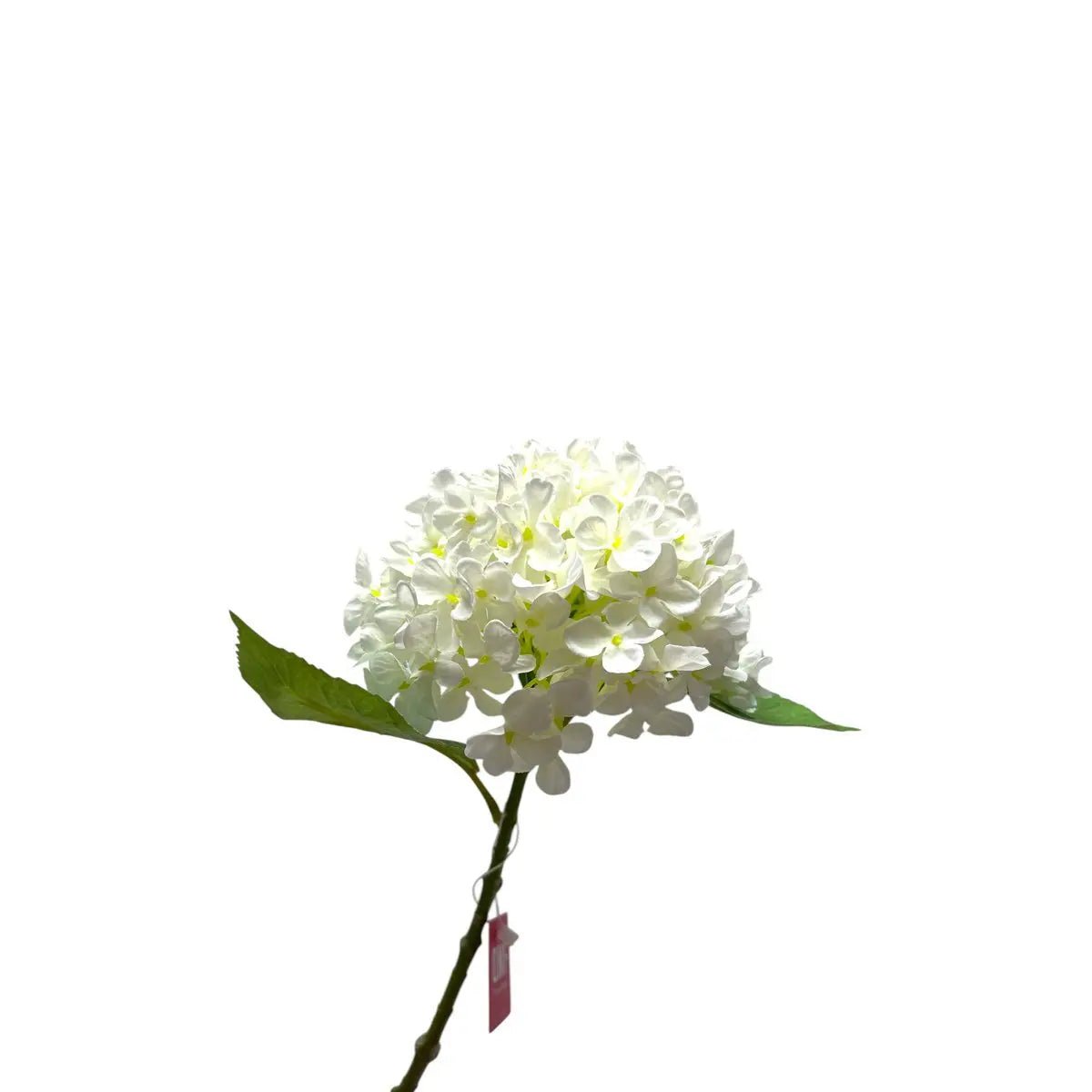 Artificial flowers Hydrangea Macrophylla White | Zijden kunstbloem | Lengte 50 1stk
