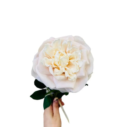 Hand Touch Roos 65cm