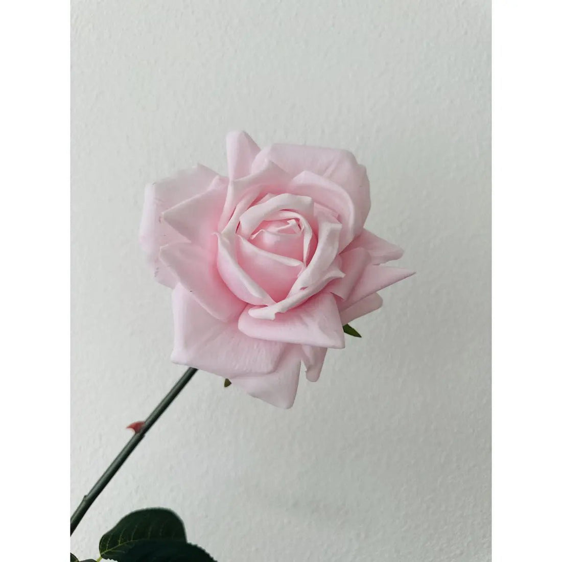 Hand Touch Rose 72cm Light pink 2STUKS