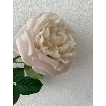 Touch Rose 65cm Light pink 2STUKS