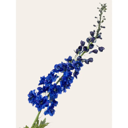 kunstbloem Delphinium blauw 130 cm Copy