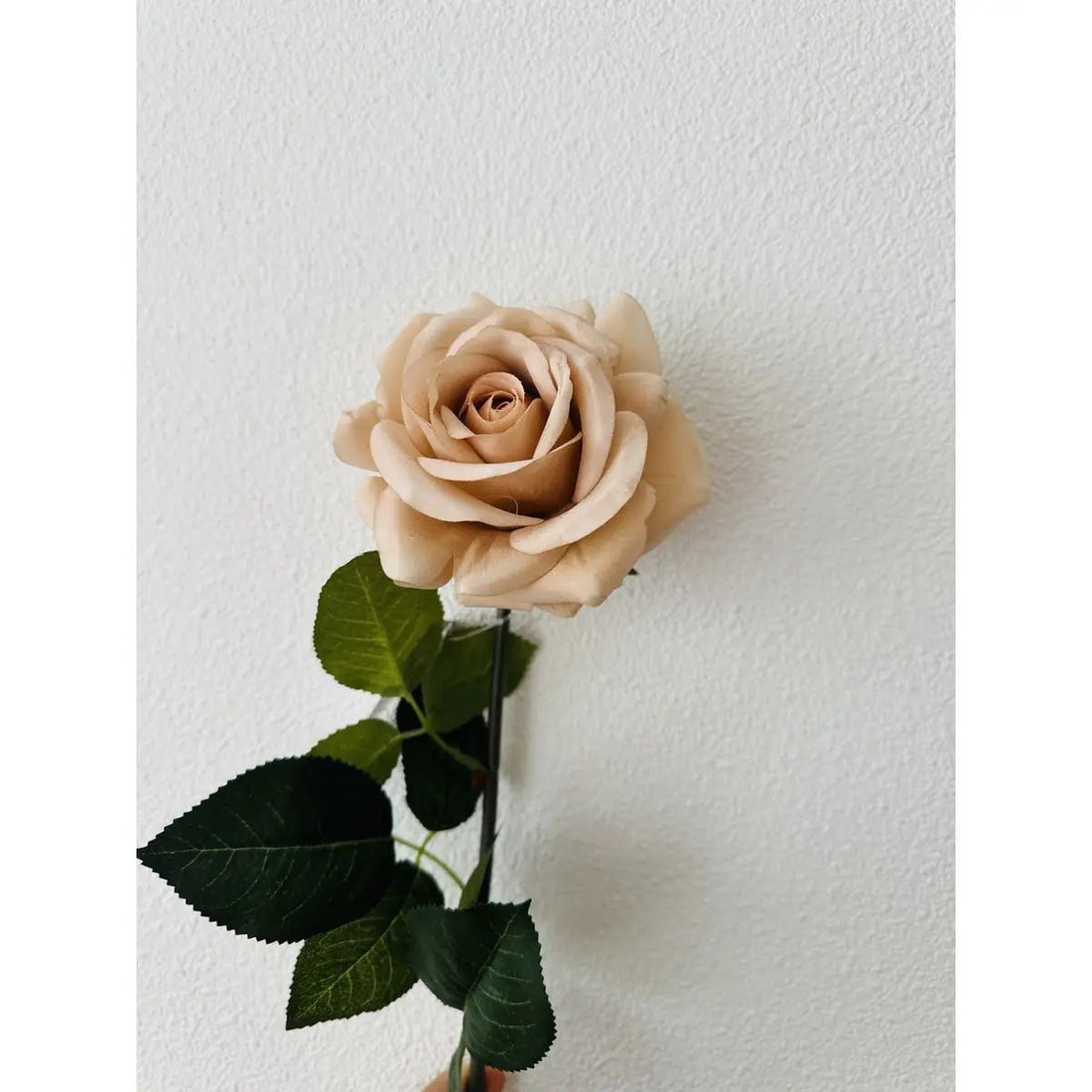 Hand Touch Rose72cm Champagne 2STUKS
