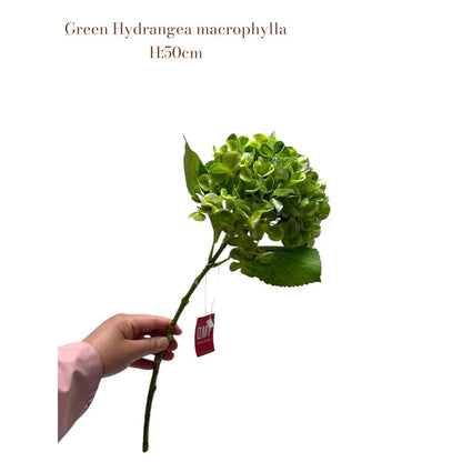 Artificial flowers Hydrangea Macrophylla Green | Zijden kunstbloem | Lengte 50 1stk