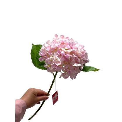 Artificial flowers Hydrangea Macrophylla Light Pink | Zijden kunstbloem | Lengte 50 1stk