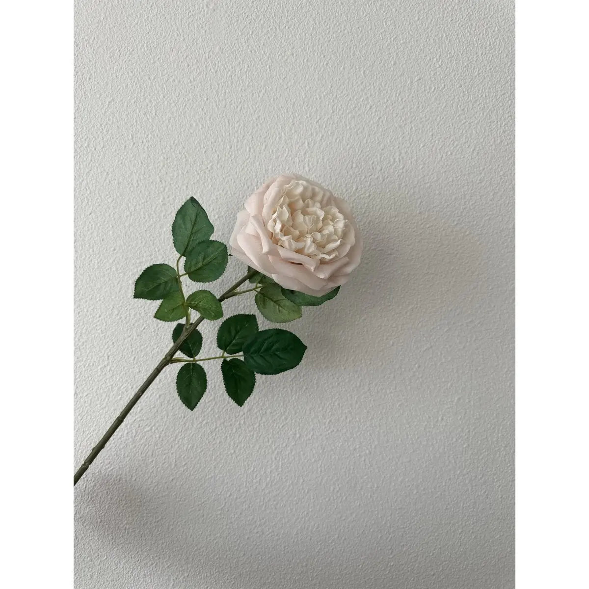 Touch Rose 65cm Light pink 2STUKS