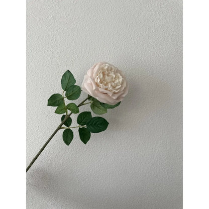 Touch Rose 65cm Light pink 2STUKS