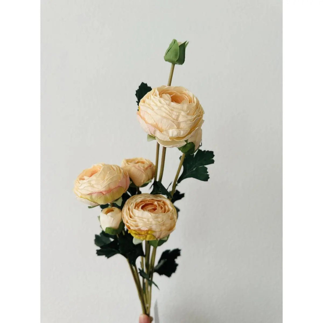 9-stengelige Mica Decorations Ranonkels Kunstbloemen Boeket / Lengte 55cm /Champagne