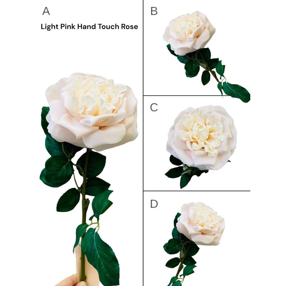 Touch Rose 65cm Light pink 2STUKS
