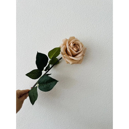 Hand Touch Rose72cm Champagne 2STUKS